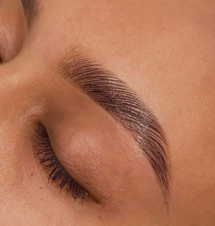 Cejas